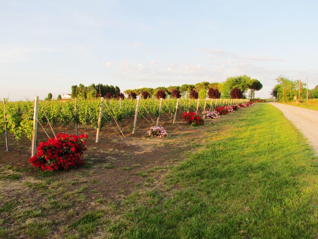 Agriturismo Le Cipressine Villa Meolo Exterior photo